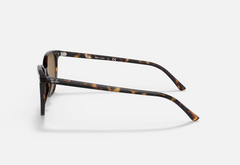 Ray Ban Elliot Sunglasses